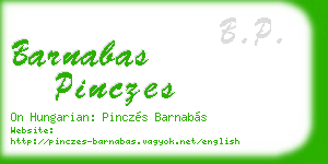 barnabas pinczes business card