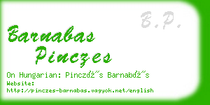 barnabas pinczes business card